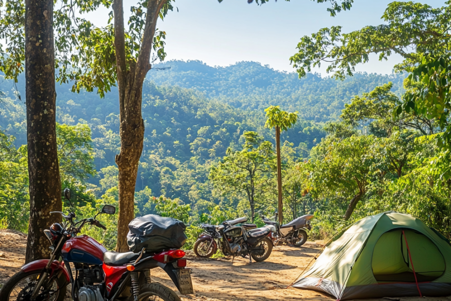 ForestRiderCamp